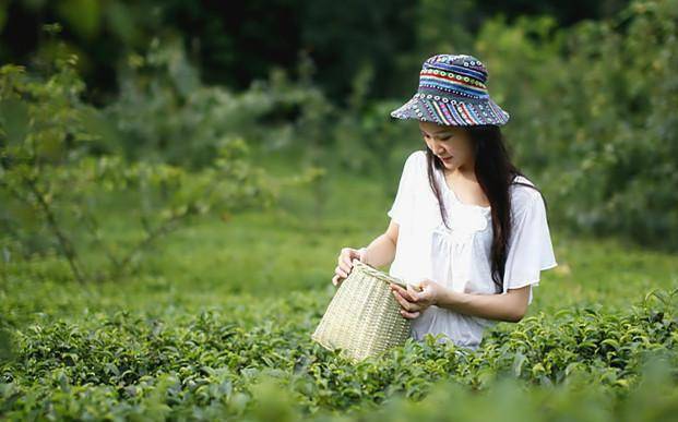 黄如一回家,既不敢禀明父母,更不敢与郑云仙说,倒是夜晚梦呓中不断念