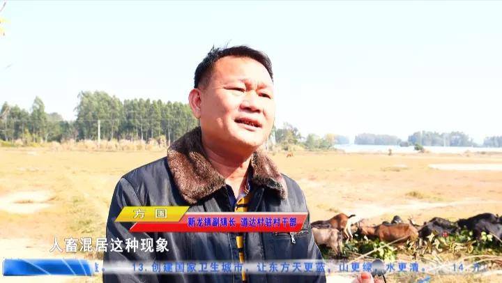 新龙镇副镇长,道达村驻村干部方国向记者介绍,我们