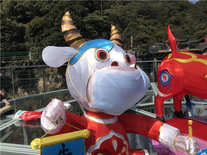 广东景区给牛戴上口罩提醒游客春节出游要注意防护