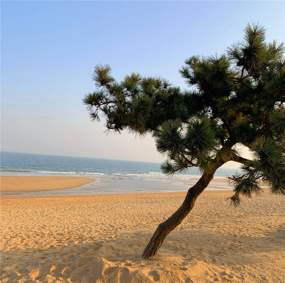 日照吃海鲜去哪里，好吃不贵的海鲜餐厅都具有与以下几个特征，帮你防雷