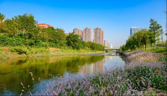 雨花区gdp2020_长沙雨花区控规图