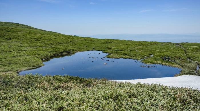 所谓“开门红”不过是厚积薄发：格兰仕产销两旺密码并不复杂-家电圈官网