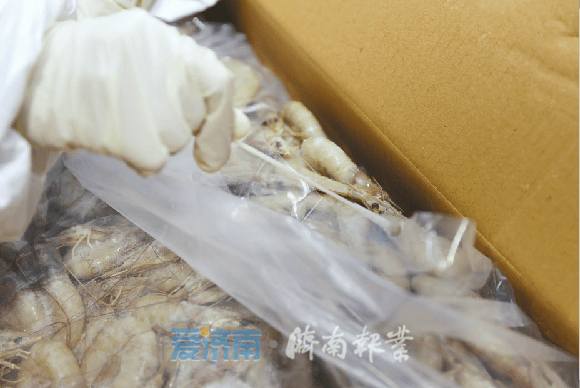 在进口冷链食品集中监管“双仓”监护之下：一只南美白虾的“暖心之旅”