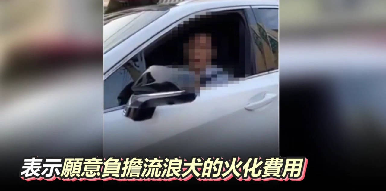 开车撞到了狗没停算逃逸吗 乡下撞死一条狗算逃逸吗