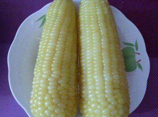 a893fcb8f4cc40999a56c9e5a151300f.jpeg
