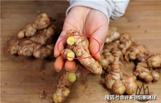 生姜怎么种才大 2c78f2f32d6b4fe8b8e3128f7677d0b2.jpeg