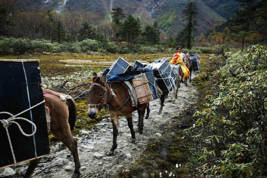 墨脱公路具有怎样的意义，不惜千难万苦，历时38年终于贯通