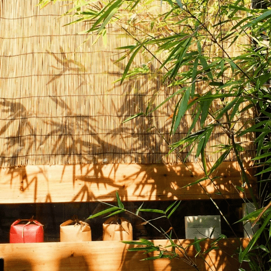 就地过年催生新玩法 四川墨竹旅游咨询有限公司-寄居蟹旅行