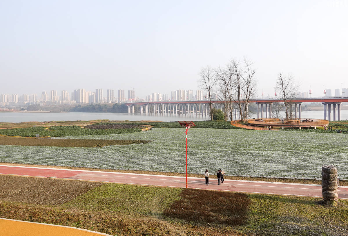 重庆有个很接地气的公园，设计理念西部首创，或成又一个网红景点