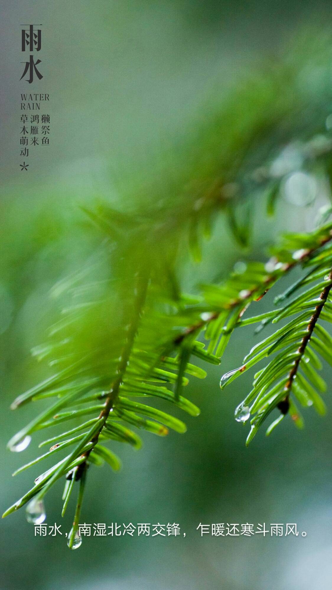 今日雨水時節話雨水