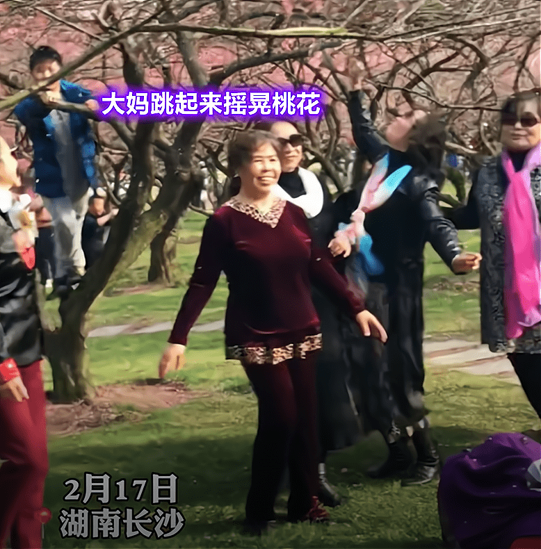 湖南一大妈为拍“美照”，强行摇晃景区桃花，开心喊道：再来一遍