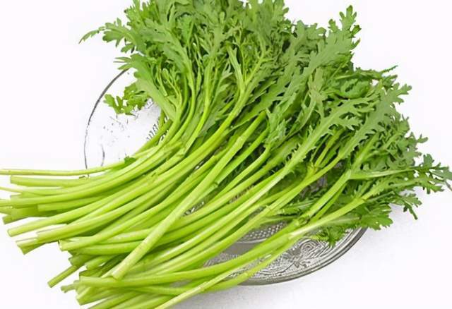 为什么要尽量少吃茼蒿 7990e8d6e7ab45adb80667d601f79f10.jpeg