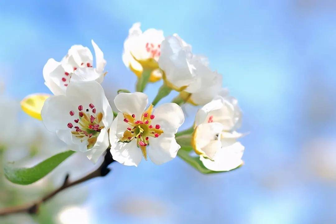 2月19日出生的人命运，2月19日