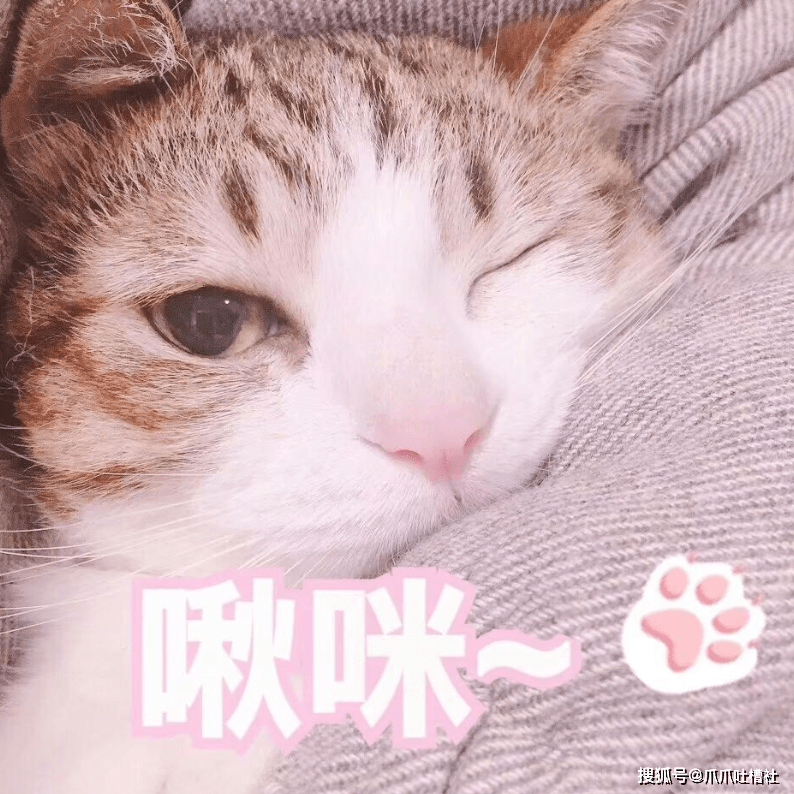 fb1d623fb0e940f2978218ef032bbe03.png