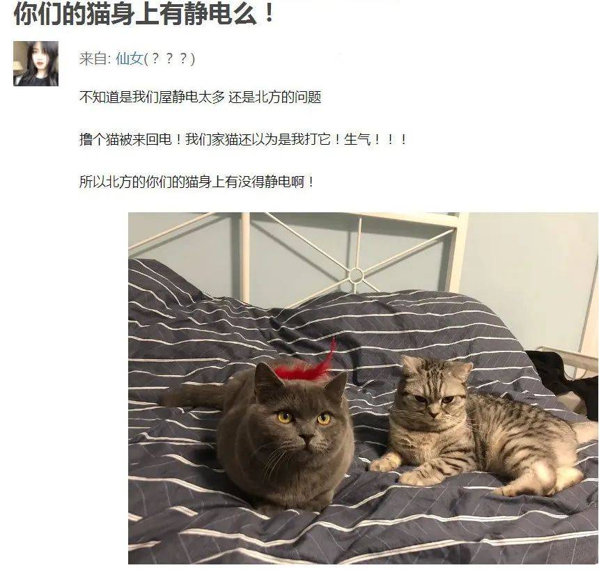 3d2363e4b151484bafffa63d35b5ccb8.jpeg