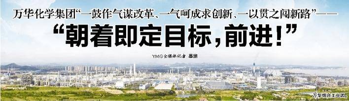 万华化工集团“一步到位求改革,一步到位求创新,始终如一地追求新路”