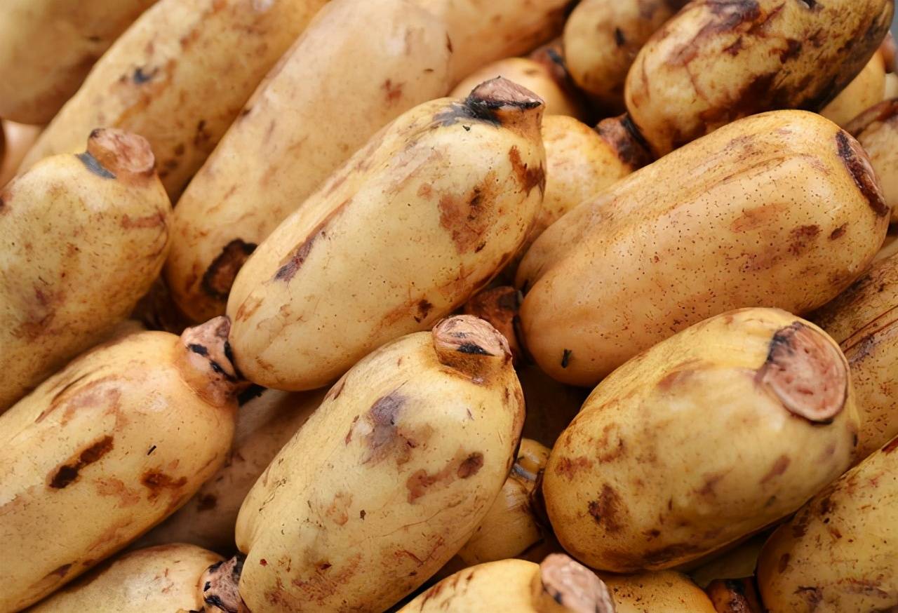 买莲藕9孔和7孔的要分清差别巨大买错了准吃亏