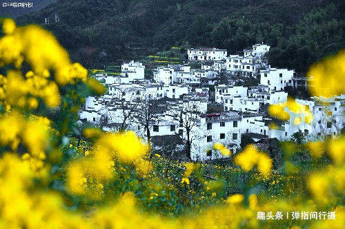 中国”最诗意“的乡村，油菜花海徽派古村完美交融，春色美成仙境