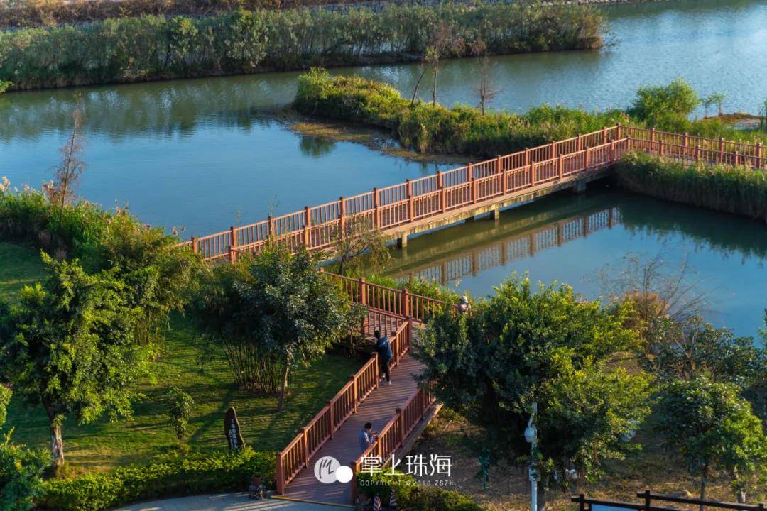 珠海芒洲湿地公园介绍图片
