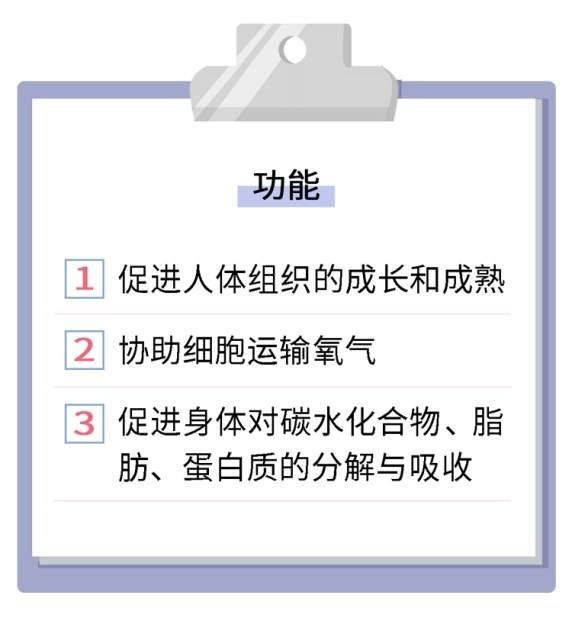 到底要怎么样提高代谢 fe5d08132f434152abfb84a848b289c7.jpeg