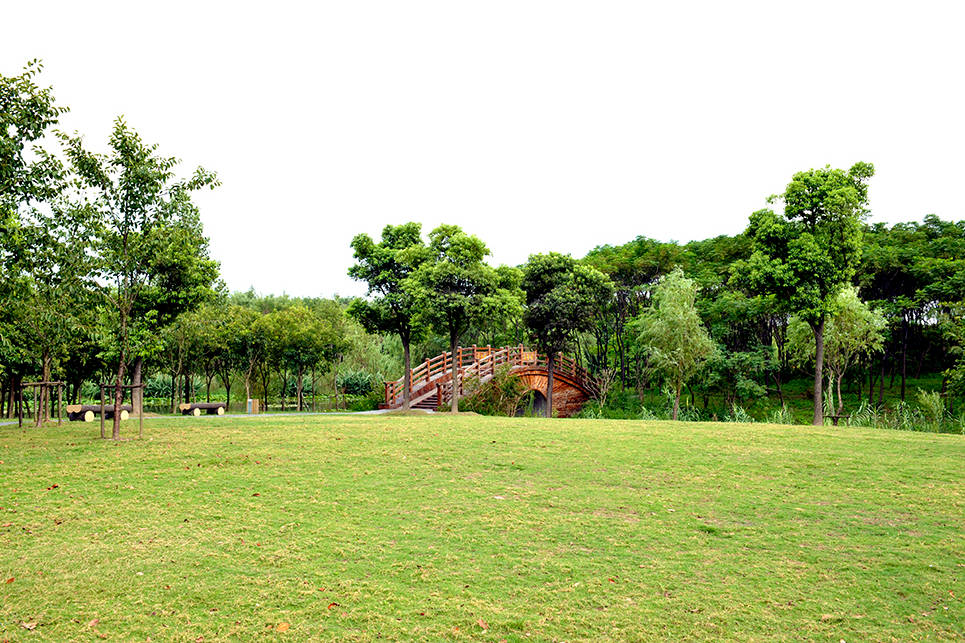 上海号称第一的公园，被称魔都“后花园”，面积是世纪公园的3倍