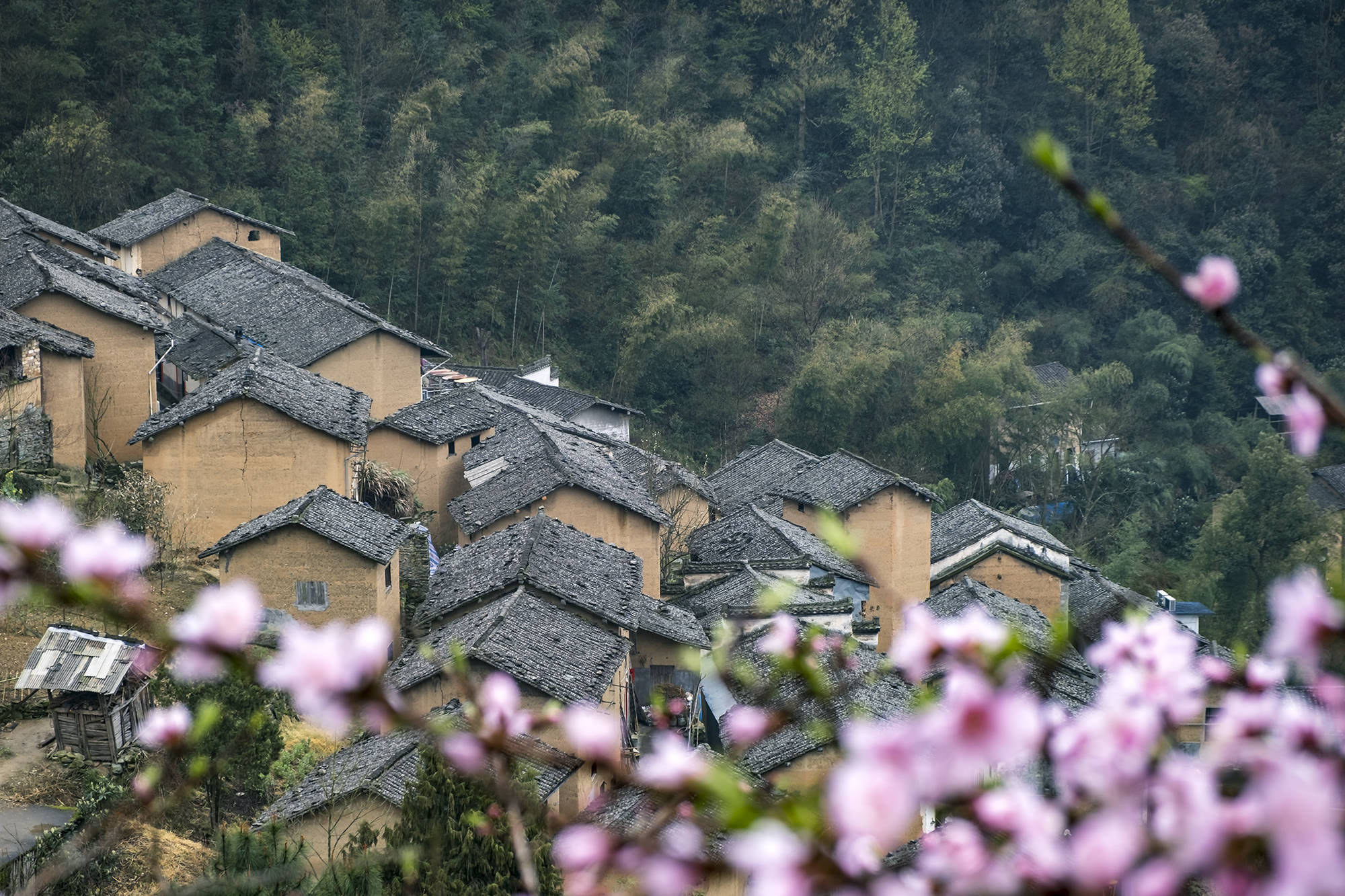 皖南的偏僻山区里,有个古村落,春天里如世外桃园-搜狐大视野-搜狐新闻
