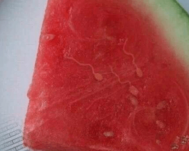 原创
你这是什么车啊
