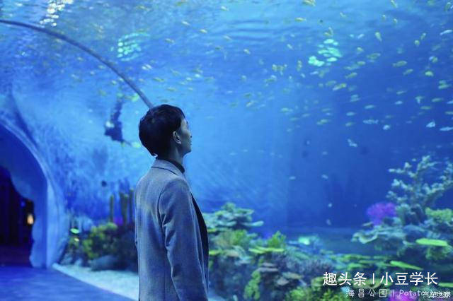 上海有一个海底世界馆，早起来到空无一人，可拍摄人像海底大片