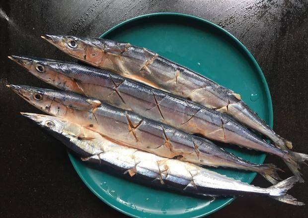 想念烧烤摊的秋刀鱼小妹花3元买了4条秋刀鱼一抹一烤超解馋