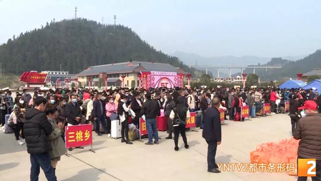镇雄苗族人口_镇雄县城图片