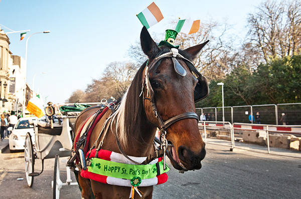 爱尔兰绿帽子节：不再在世界的尽头沉默