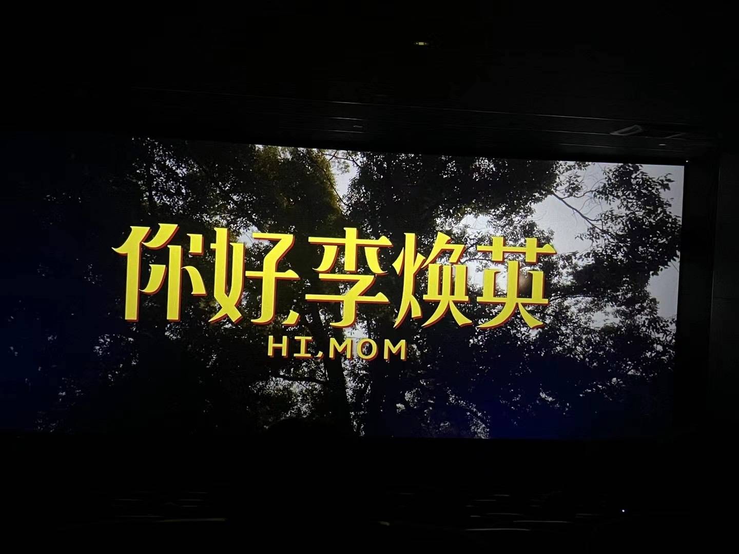 济南火鸟带大家看你好李焕英