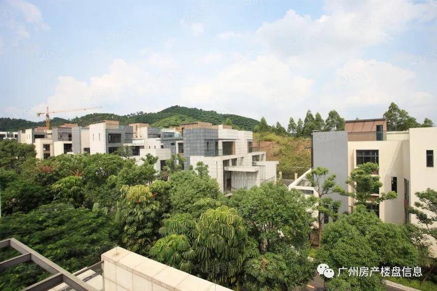 广州市区有多少人口_广州有多少个区