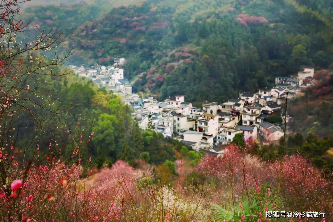 国内春天最适合小住三五天的12个地方，错过这些美景，又要等一年