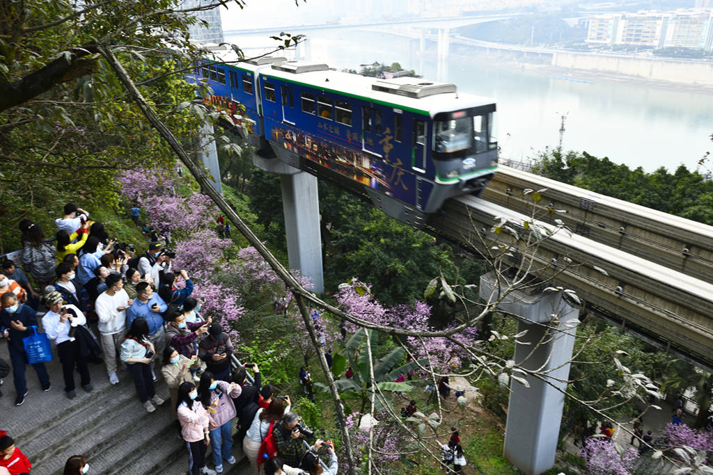 重庆：“开往春天的列车”吸引游客打卡