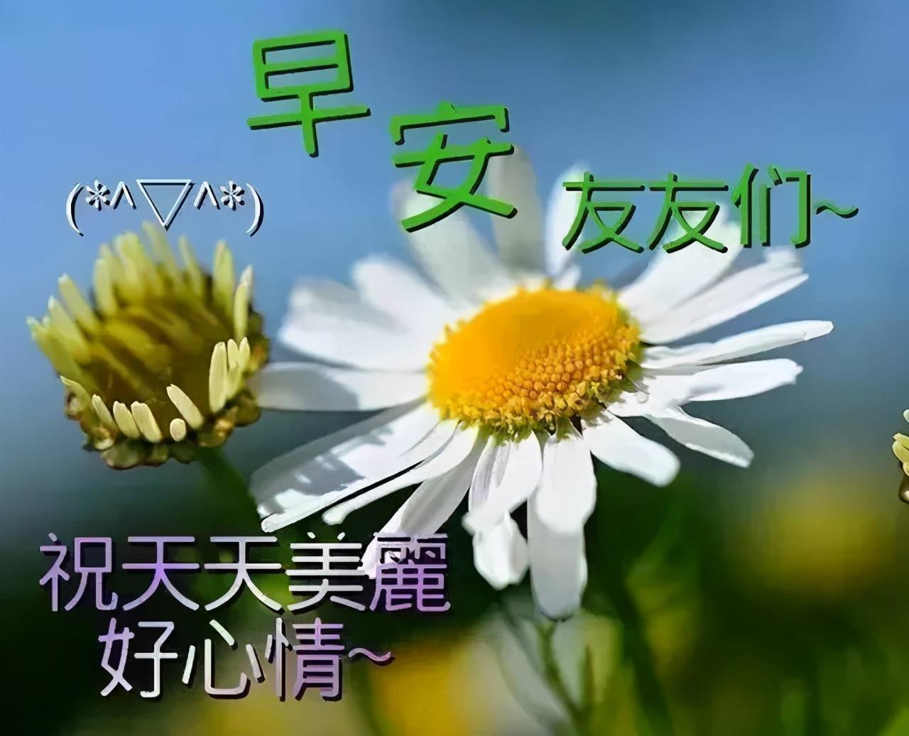 原创早上好温馨语录图片表情,清晨问候早安祝福语动态图片