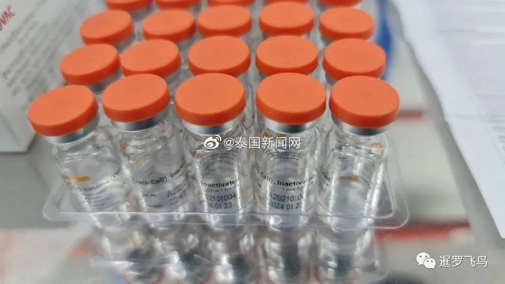 原创中国新冠疫苗抵泰泰国总理巴育携高官亲自接机双手展示称放心