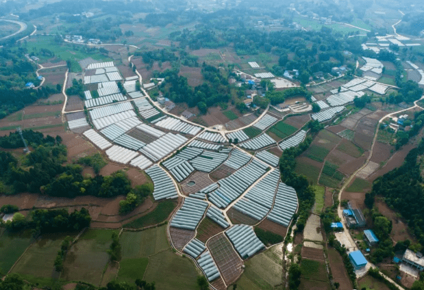 扶上马送一程中央一号文件引发江源镇干部群众热烈反响