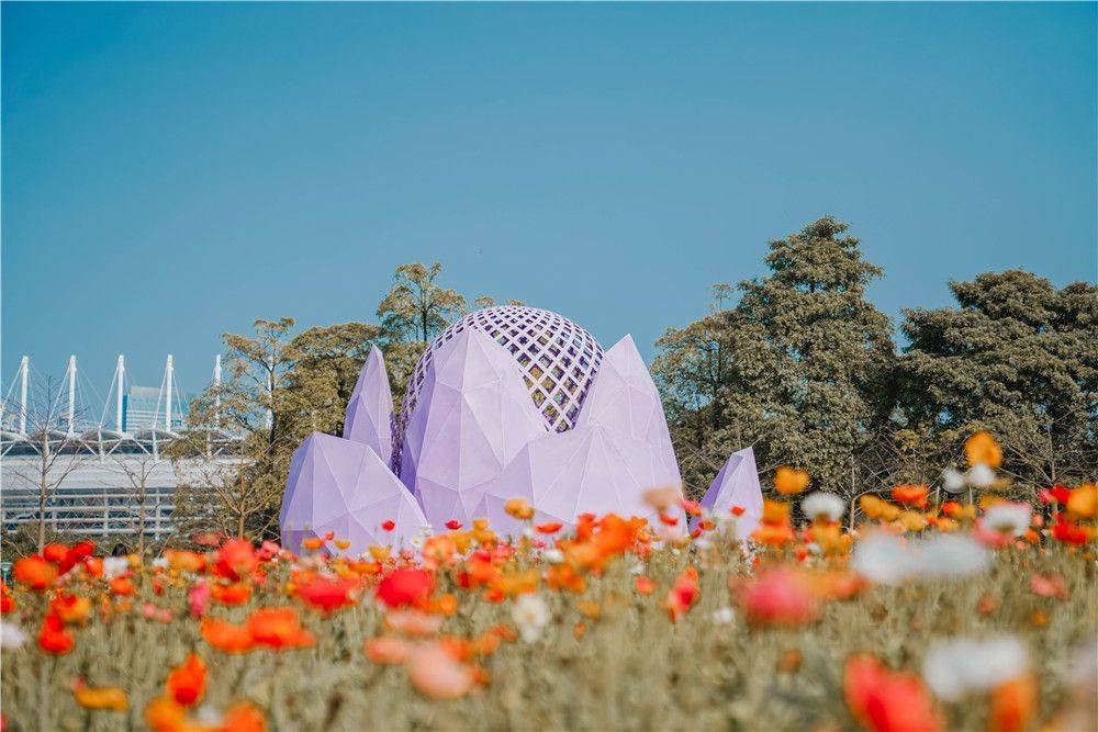 原创广州这个莫奈花园再也藏不住油画般花海get同款春日滤镜