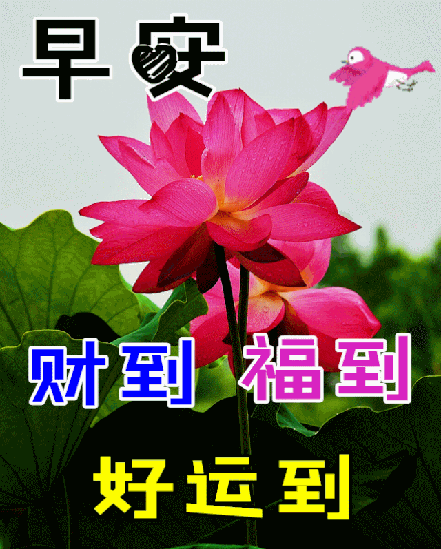 成语言什么意骇_等什么君(3)
