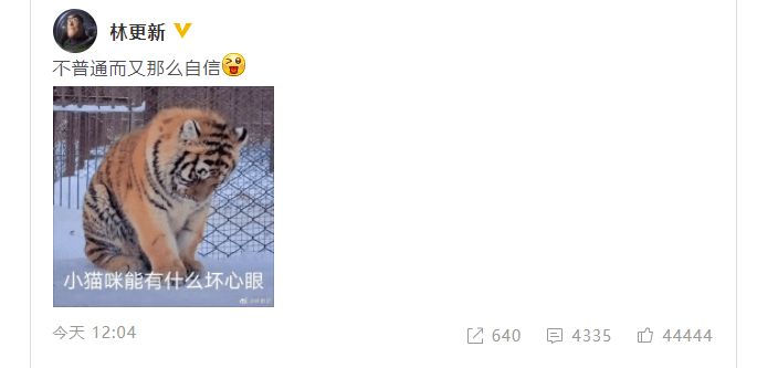 9fd3e65d87494213ac1247fc83404910.png
