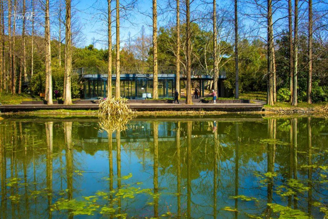 最近到杭州植物园游玩，发现虽然风景很美，但也有个遗憾