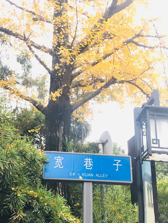 地道四川味，我的成都游分享