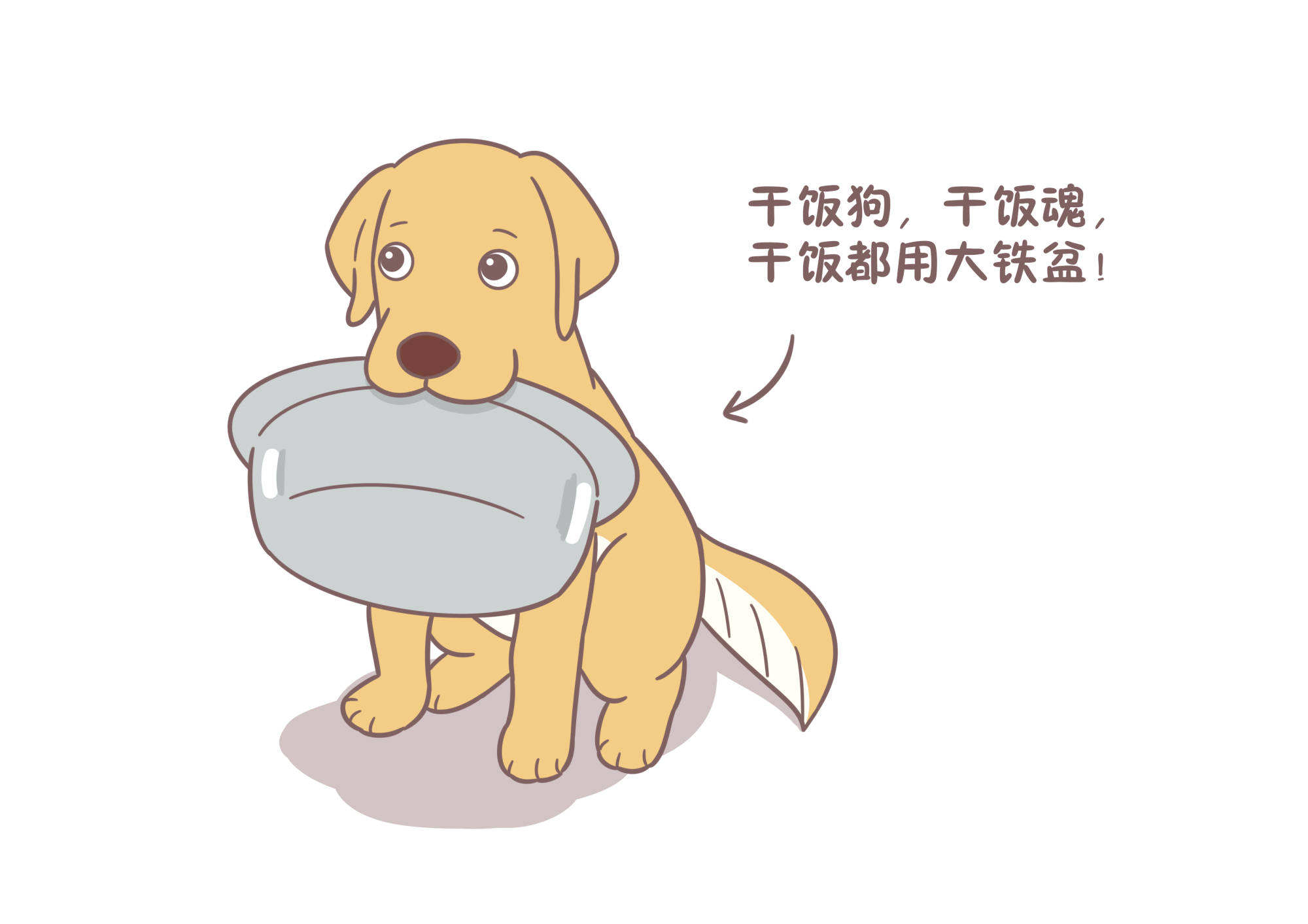 铲屎官的抛弃最让狗狗感到恐怖的,不是别的东西而是主人的抛弃如果