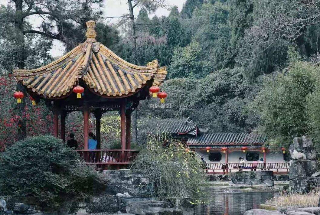 我想和你在绵阳搭一趟开往春天的公交