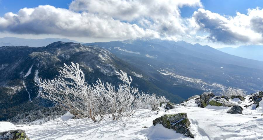 家电厂商“渡难关”,先从企业家奋战在一线开始吧!-家电圈官网