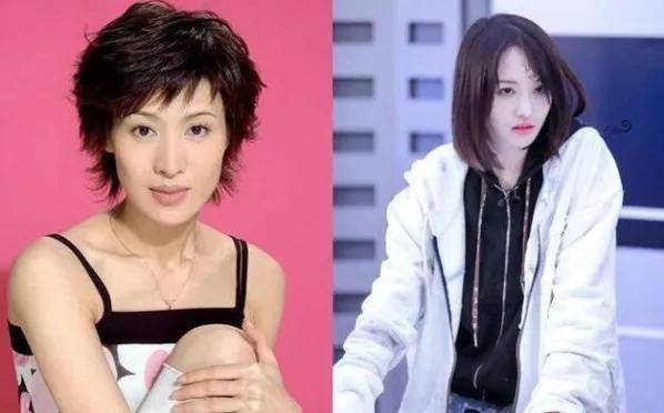 惹事的明明是演过《一起来看流星雨》的郑爽,但另一位名叫"郑爽"的