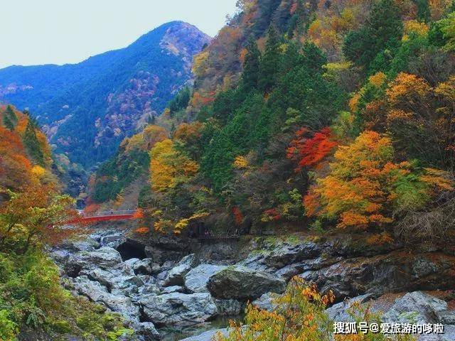 留园网 内行人才知道的9大必访关西秘境 6park Com