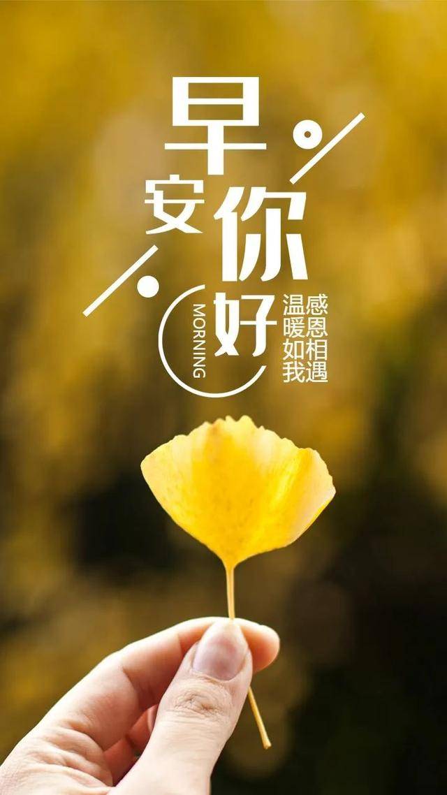 原创新版唯美早上好图片带字早上好问候表情包祝福图片