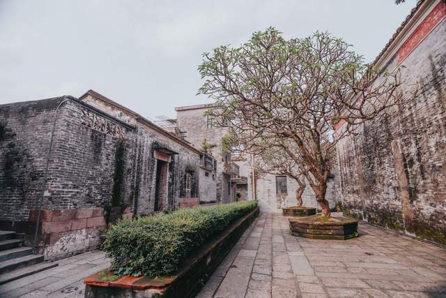 藏在广州番禺的岭南古镇，拥有800年历史，现已打造成网红景点
